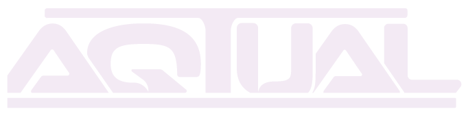 AQTUAL AGENCY